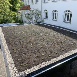 Gründach